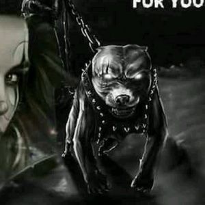 Meet your Posher, Cristeen